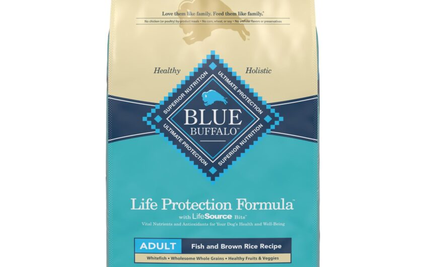 An In-Depth Look at Blue Buffalo Life Protection Formula Adult Fish and Brown Rice Dog Food