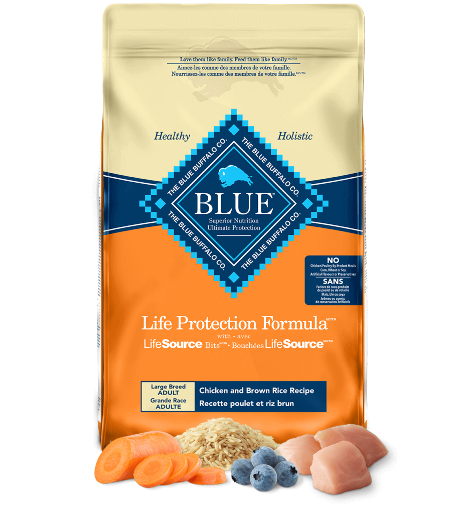 Where to Buy Blue Buffalo Life Protection Formula Adult Large Breed Chicken and Brown Rice Recipe Dry Dog Food