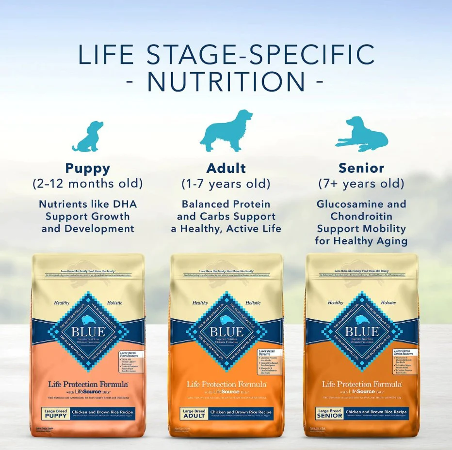 How to feed your dog with Blue Buffalo Life Protection Formula Adult Large Breed Chicken and Brown Rice Recipe Dry Dog Food