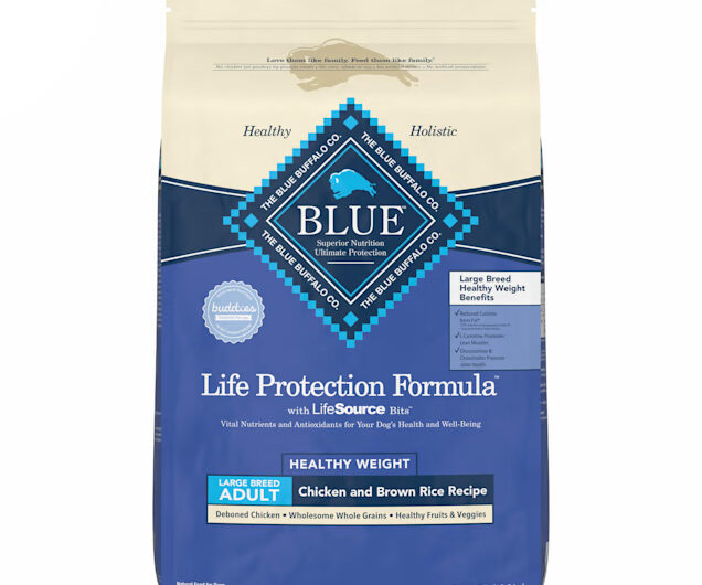 Blue Buffalo Life Protection Formula Adult Large Breed Healthy Weight Chicken and Brown Rice: Helping Large Breeds Achieve a Healthy Weight With Quality Nutrition