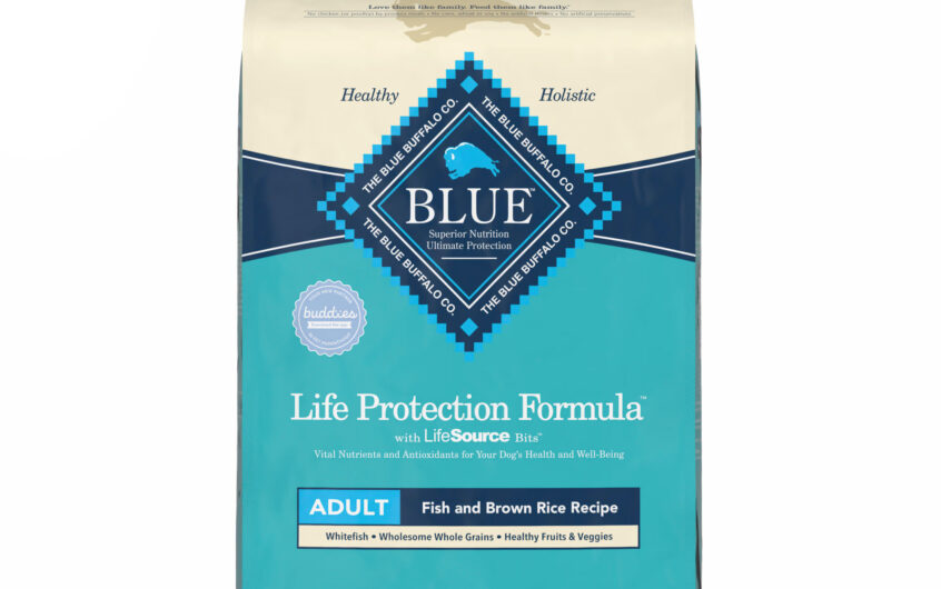 Healthy Nutrition with Blue Buffalo Life Protection Formula Adult Large Breed Fish and Oatmeal Recipe Dry Dog Food