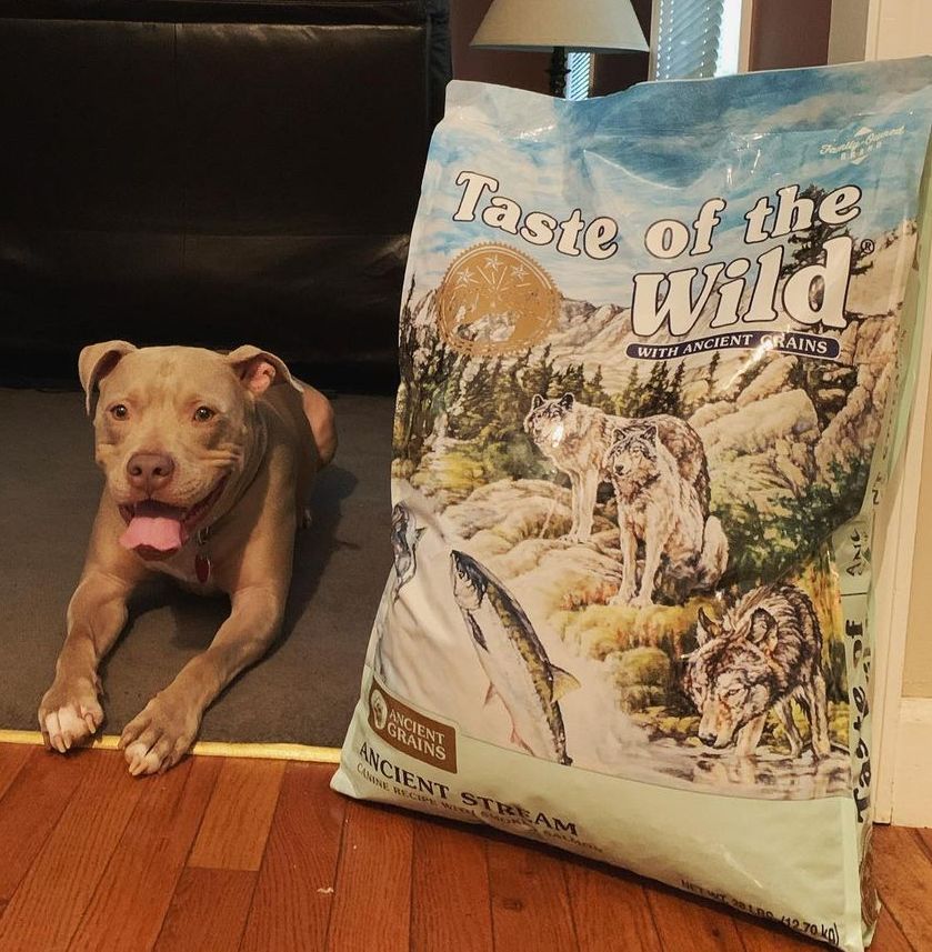 Where to Buy Taste of the Wild Ancient Stream Puppy Food