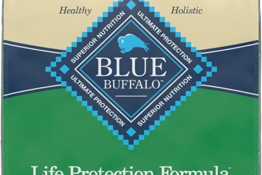 Blue Buffalo Life Protection Formula Lamb and Brown Rice: Tailored Nutrition for Your Big Dog