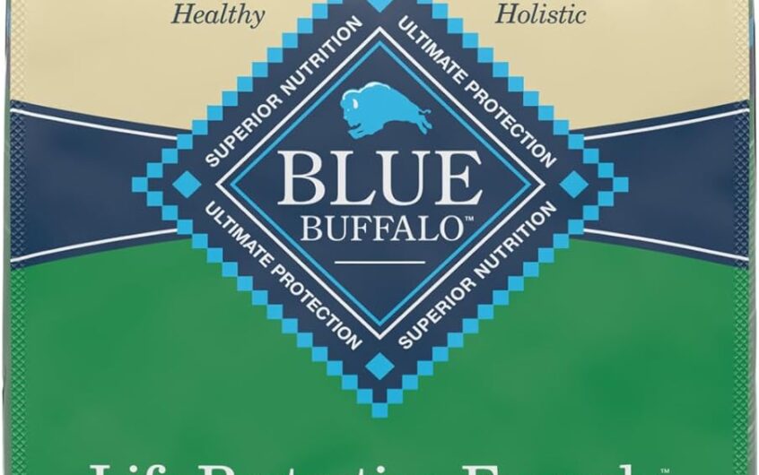 Blue Buffalo Life Protection Formula Lamb and Brown Rice: Tailored Nutrition for Your Big Dog