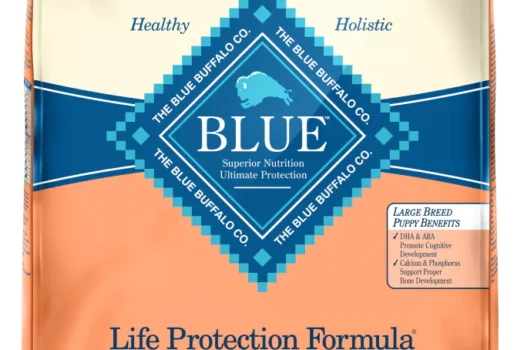 Feed Your Growing Puppy Right with Blue Buffalo Life Protection Formula Puppy Large Breed Chicken and Brown Rice Recipe