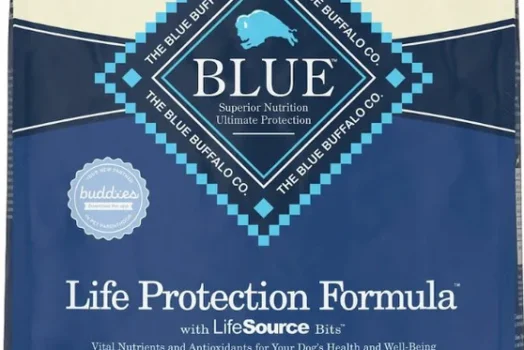 Nourish Your Senior Dog with Blue Buffalo Life Protection Formula Senior Large Breed