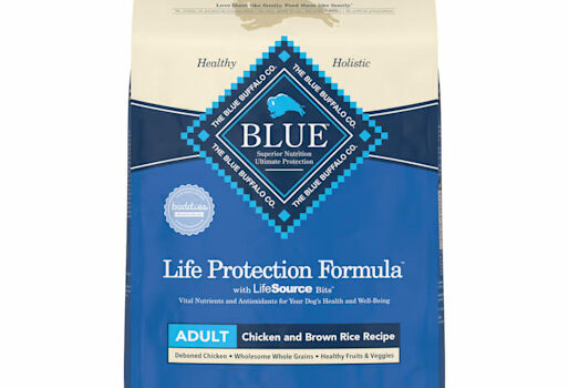 A Delicious and Nutritious Review of Blue Buffalo Life Protection Formula Adult Chicken and Brown Rice Dinner Wet Dog Food